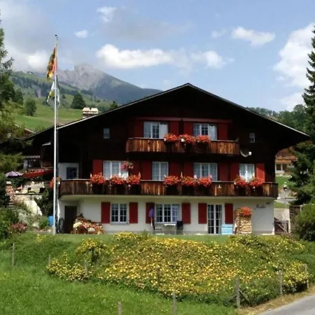 Apartment Chalet Mislin, Direkte Bergsicht *