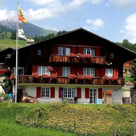Apartment Chalet Mislin, Direkte Bergsicht