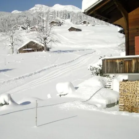 Apartment Chalet Mislin, Direkte Bergsicht Grindelwald